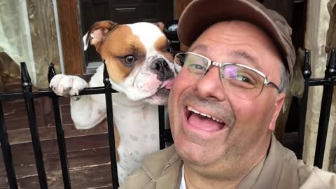 WORLD BEST FUNNIEST🤣 Dog vs men 🤣 funny video> Don't Try Laughing 🤣 clips