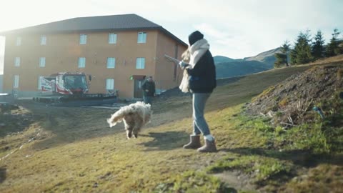 Happy komondor adult runs playing in courtyard tracking shot