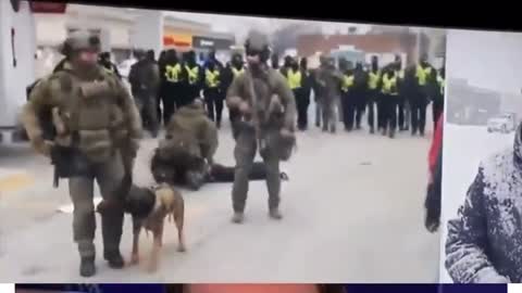 Ambassador Bridge: Police tackle unarmed peaceful protesters (Feb 13, 2022)