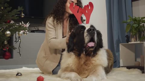 Woman putting on New Year's horns of deer on dog's head