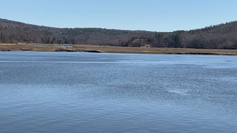 Allains Creek In Annapolis Royal