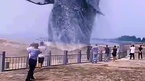 A Big Whale Jumped Near Visitors!