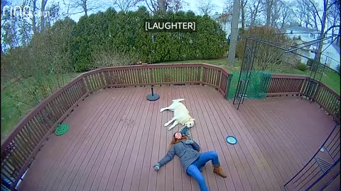 Dog Mistakes Furry Hood For a Toy & Drags Owner Around The Backyard