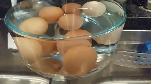 SIMPLE WAY TO CHECK EGGS FRESH OR NOT