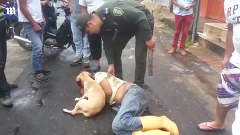 Loyal Dog Guards owner as he sleeps off a hangover