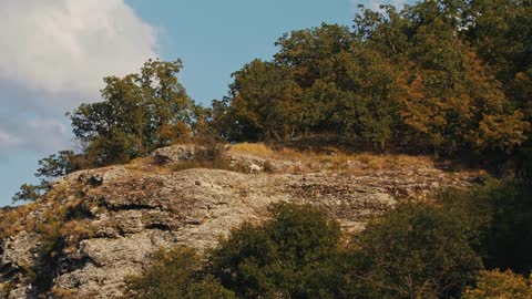 Three goats walking on the cliff of a rocky mountain