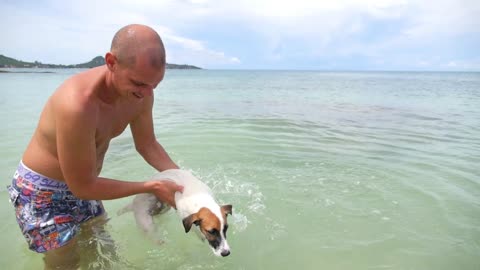 Funny Jack Russell Terrier Dog Swimming in Water