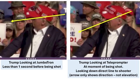 Detailed Review of Evidence for a Second Shooter at the Assassination Attempt of President Trump