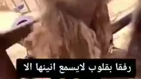 لاحول ولا قوة الا بالله العلى العظيم