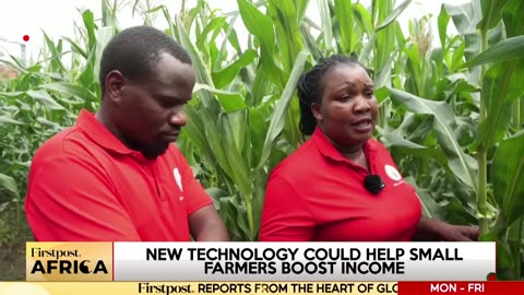 Malawi: Students Use Chinese Farming Techniques For Agricultural Development| Firstpost Africa