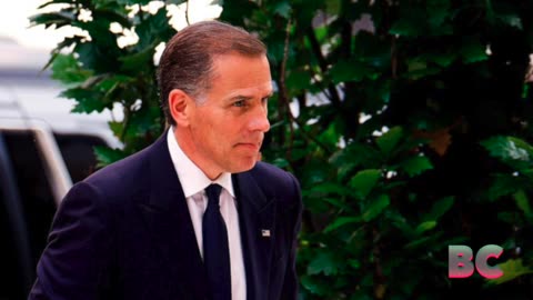 Prosecutors in Hunter Biden Trial Rest Case