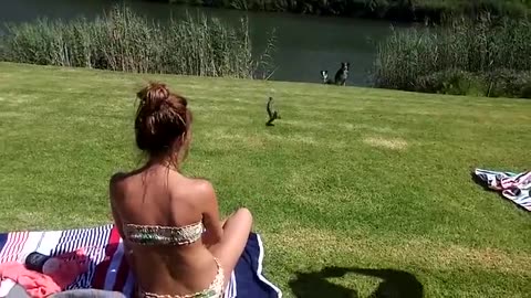 African Girl Catches A Speedy Cobra With Her Hands