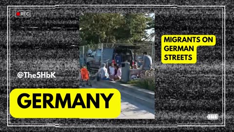 MIGRANT WATCH 3: September 10, 2024