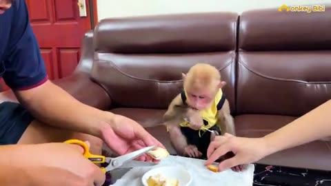 Bibi_is_happy_to_have_breakfast_with_Dad_after_a_long_business_trip!(360p)