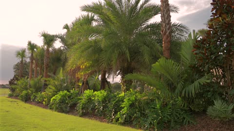 Ponte Vedra Beach Golf Course Landscaping Design at the Plantation of PVB