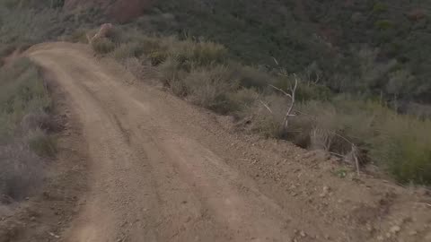 Pushing the Limits: Off-Roading with a Custom Porsche