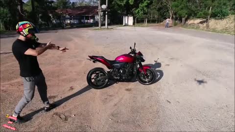 Hornet and XJ6 motivation-Passion for displacement