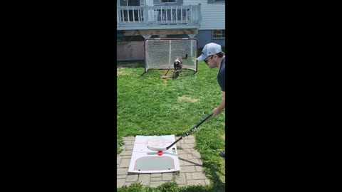 Most Canadian dog ever is an incredible goalie