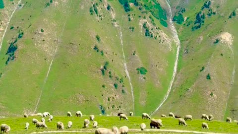 Beautiful views of Kashmir(Sonmarg)