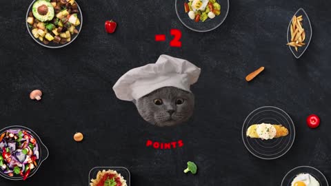 The Cat Cooking Show 2-11