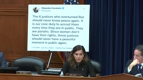 GOP Congresswoman Throws Progressive Activist’s Own Tweets At Her During Hearing