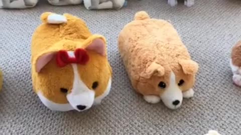 Adele Challenge, Corgi Toy Edition | Tofu the Corgi | #shorts