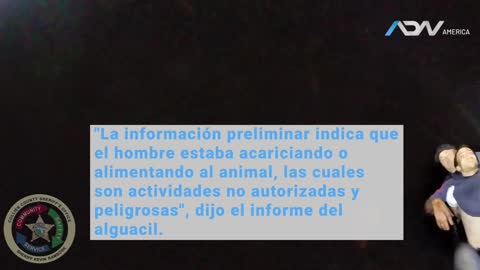 Policía mata de un balazo a tigre que atacó a trabajador del zoológico de Naples