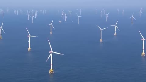 Sea Windmills Milling Wind in the Sea (Probably Affecting the Marine Life, Especially Whales)