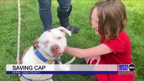 A neglected and starved Fargo dog was saved and adopted by new family