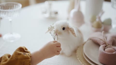 Fascinating Facts About Rabbits: EXPLORING THE AMAZING WORLD OF THESE ADORABLE CREATURE