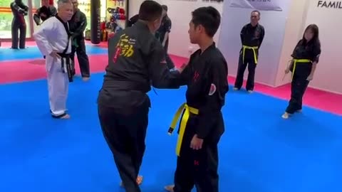 Hapkido