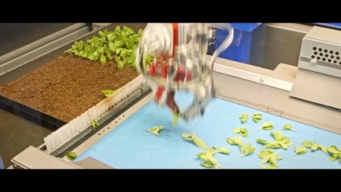 Future farming (2051)