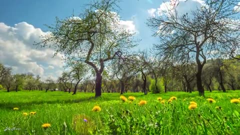 Spring season beautiful nature view