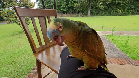 Porch dayz wiff Rocco