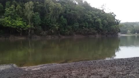 24.5.2024 The Barron River, Kuranda (4)