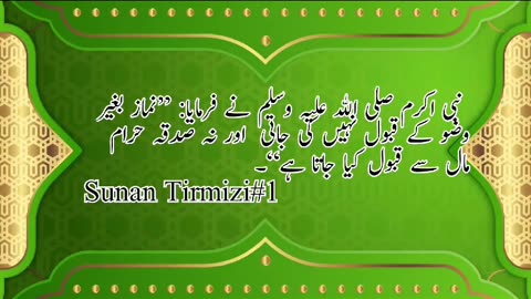 نبی اکرم صلی الله علیہ وسلم نے فرمایا: ”نماز بغیر وضو کے قبول نہیں کی جاتی۔