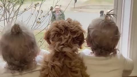 Dog and Toddlers Wait for Brother at Window❤️