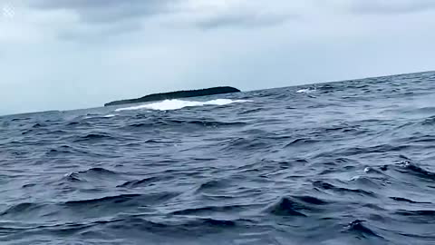 Giant Whale Jumps Out Of Nowhere - Incredibly Close Whale Encounters!-7