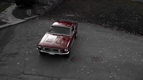 FORD MUSTANG 1967 FASTBACK | 4K