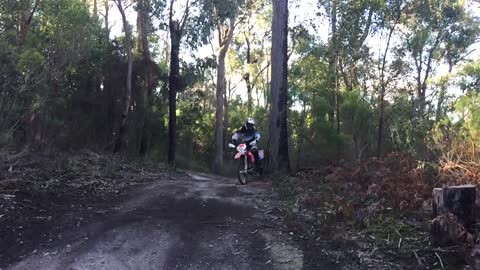 Dirt Bike Wheelie Around the Gumtree