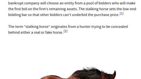 What is a “stalking horse bid”