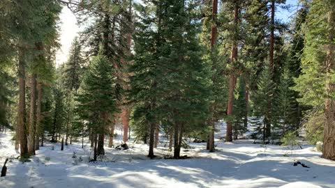 Glorious Glow on Ochoco National Forest – Bandit Springs Sno-Park – Central Oregon – 4K