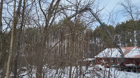 Tree Removal by Crane and Peter Pan