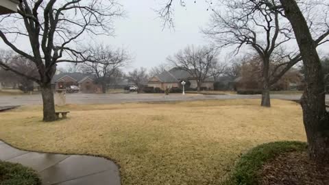 Pecan Plantation Time Lapse Winter