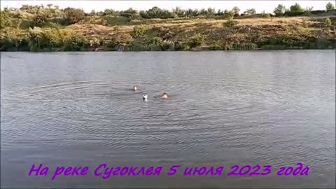 На реке Сугоклея 5 июля 2023 года