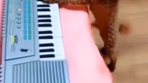 This dog has got the blues!