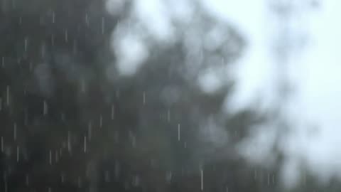 Rain Sounds For Sleeping - 99% Instantly Fall Asleep With Rain