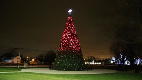 Commercial Christmas Tree Synced to Music