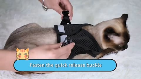 Anti-Escape Adjustable Reflective Cat Harness