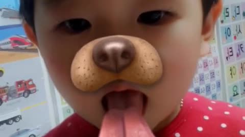 hungry puppy